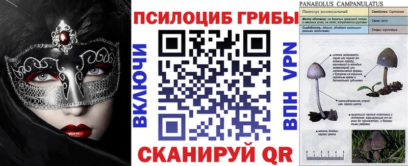 Галлюциногенные грибы GOLDEN TEACHER  shop формула  Дятьково 