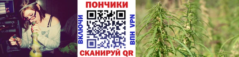 hydra ССЫЛКА Дятьково Бошки Шишки OG Kush